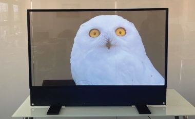 オーダーメイド 超薄 OLED 透明ディスプレイ 室内広告用